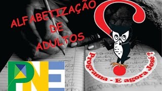 Alfabetização e alfabetismo de jovens e adultos Plano Nacional de Educação  Meta 9 do PNE [upl. by Kimmy]