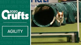 Agility – Kennel Club British Open Final Jumping part two  ​Crufts 2020 [upl. by Niriam]