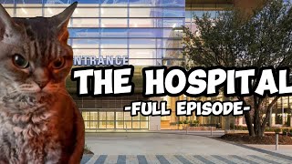 CAT MEMES THE HOSPITAL COMPILATION EXTRA SCENES [upl. by Dennie135]