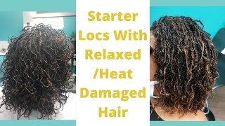 Starting Locs With Relaxed Heat Damaged Hair Heres What To Expect [upl. by Blane118]