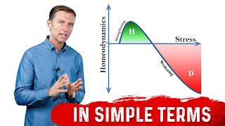 What Is Hormesis amp How It Works – DrBerg [upl. by Danae688]