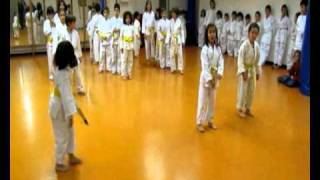 Allenamento karate bambini 68 anni [upl. by Ecinahs]