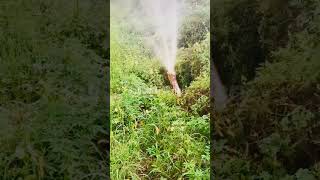 Water Sprayer reels ytshorts spray watersupply [upl. by Renard]