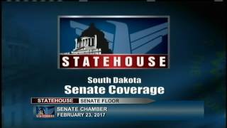 South Dakota Senate  LD27 [upl. by Wiener]