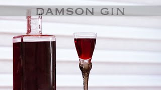 DAMSON GIN Recipe  Foolproof Hedgerow liqueur [upl. by Amocat]