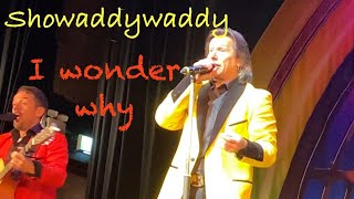 Showaddywaddy I wonder why  live June 2024 UK [upl. by Nosmirc19]