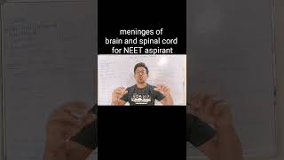 meninges of brain and spinal cord science brain neet [upl. by Madlin]