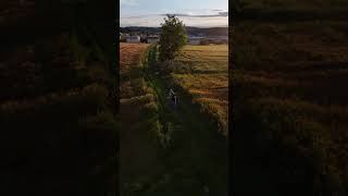 View of Fribourg swissbeauty sunset drone switzerland quickshot [upl. by Locklin]