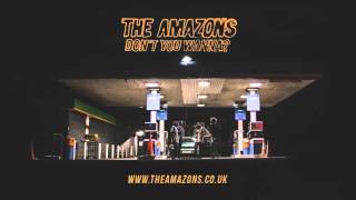 The Amazons  Something In The Water Audio [upl. by Aihsiym]