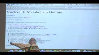 Kevin Aherns BiteSized Biochemistry 39  Nucleotide Metabolism I [upl. by Weinshienk]