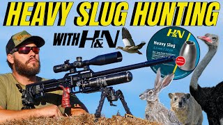 AIR GUN HUNTING WITH HampN HEAVY SLUGS I LONG RANGE AIRGUN HUNTNG I HampN AIR GUN SLUGS PEST CONTROL [upl. by Irrac648]