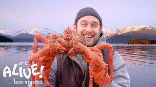 Brad Cooks Crabs in Alaska Part 2  Its Alive  Bon Appétit [upl. by Nohsauq970]