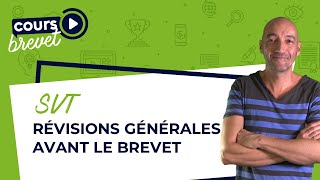 SVT 3e  révisions générales avant le brevet [upl. by Franklin]