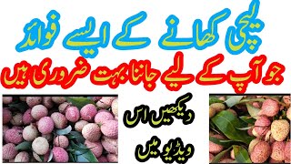 Lychee Khane Ke Fayde Litchi Se Bemario Ka Ilaj  Lychee Benefits lychee benefits szofficial05 [upl. by Yenahteb]