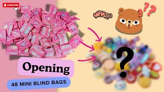 Opening 48 Mini BLIND BAGS 😳😳 UNBOXING ♡ Mini Food [upl. by Tommi]