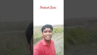 Jiske sapne hame roj aate hai Dil lobate rahe  Sri prakash Saini you tube short video [upl. by Tterrej]