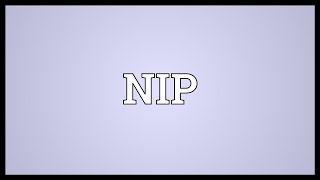 NIP Meaning [upl. by Jesse]