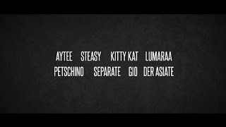 Der Asiate  Allstars feat Aytee Steasy Kitty Kat Lumaraa Separate Petschino Gio Video [upl. by Clorinda]