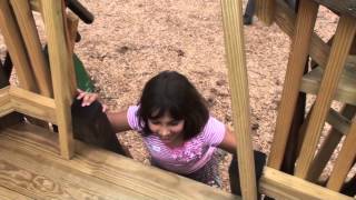 Greenburgh Nature Center Natures Discovery Playground Grand Opening [upl. by Ennaer]