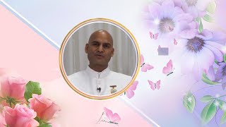 Bk Lalit Bhai ji madhuban Class Live  08112024ll brahmakumaris bhilai [upl. by Cornie]