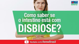 Como Saber Se o Intestino Está com Disbiose Intestinal [upl. by Boice]