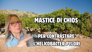 MASTICE DI CHIOS PER CONTRASTARE LHELICOBACTER PYLORI E LE PROBLEMATICHE GASTRICHE [upl. by Acinorehs]