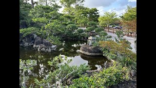 Morikami Japanese Garden In Florida—A Tour amp Critical Review [upl. by Fotinas754]