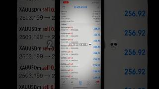 360025000 Profit in GOLD xauusd xauusdscalping forex forextrading foryou smc viral ict [upl. by Kentigera742]