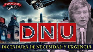 El DNU de Milei Dictadura de Necesidad y Urgencia [upl. by Alexi]