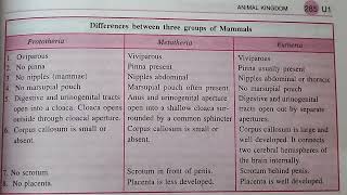 difference between protheria metatheria and eutheria mammals best handwritten study notes [upl. by Eneleahcim]