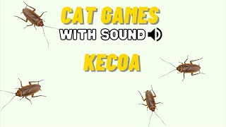 CAT GAMES  KECOA MAINAN KUCING CATCHING COCKROACH FULL 30 MENIT [upl. by Areik673]