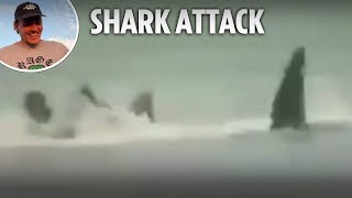 Horror footage of shark taking bite out of surfer as he desperately tries to escape [upl. by Aeel]