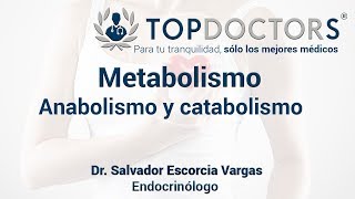 Metabolismo  Anabolismo y catabolismo ¿Qué son [upl. by Ylreveb436]