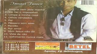 TOP ISMAEL JUNIOR CD COMPLETO [upl. by Shannan]