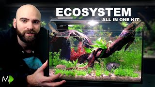 Ecosystem Aquarium In A Nano Kit Tank [upl. by Elmina]