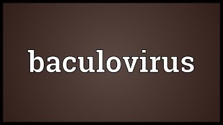 Baculovirus Meaning [upl. by Malkah743]