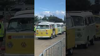 Volkswagen Kombi Van lineup  Old Bar Beach Festival NSW Australia [upl. by Ateuqal]