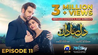 DileNadan Episode 11  Eng Sub  Mikaal Zulfiqar  Amar Khan  Ali Abbas  17th September 2024 [upl. by Dalis]