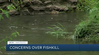 Concerns over fishkill in South Elkhorn Creek [upl. by Emmeline882]