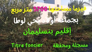 FERME A VENDRE  فيرما مساحتها 5700 متر مربع بجماعة أولاد يحي لوطا إقليم بنسليمان [upl. by Nemracledairam647]