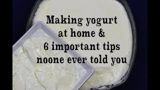 Homemade Yogurt Natural amp Plain 6 Tips Youve Never Heard Before [upl. by Aidroc]