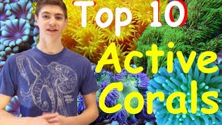 Top 10 Most Active Corals for Reef Tanks [upl. by Dearborn]