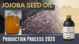 Jojoba Seed Oil Production Process [upl. by Kcirdaed]