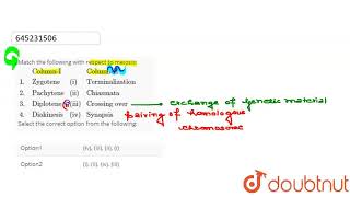 Match the following with respect to meiosis ColumnIColumnII1ZygoteneiTerminali [upl. by Lyda]