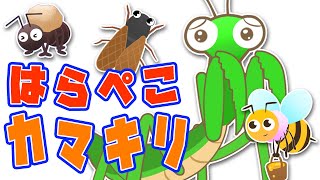 【フルver】はらぺこカマキリ おかあさんといっしょ月歌 香川照之の昆虫すごいぜ！NHK Eテレ【2019年6月】 [upl. by Eirallam]