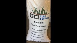 Turf Type Tall Fescue Grass Seed Weed Free [upl. by Polard]