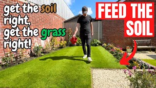 WHY and WHEN should you FEED a newly turfed LAWN [upl. by Yerxa]