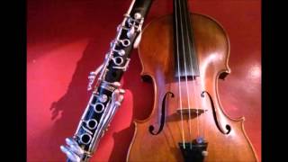 Clarinet Violin Duet  Pirates of the Caribbean [upl. by Diba]