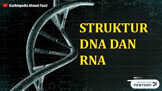 Struktur DNA dan RNA [upl. by Kemp]