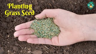 How to Plant Grass Seed on Hard Dirt How to Prepare Hard Soil for Grass Seed [upl. by Arot]